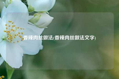 香辣肉丝做法(香辣肉丝做法文字)