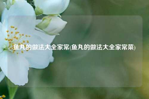 鱼丸的做法大全家常(鱼丸的做法大全家常菜)