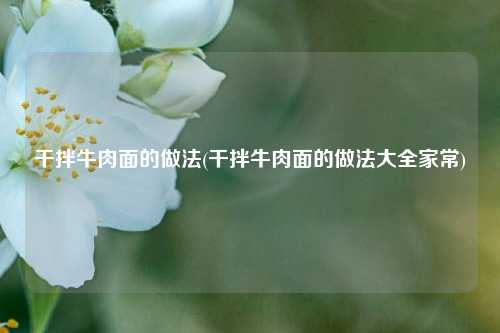 干拌牛肉面的做法(干拌牛肉面的做法大全家常)