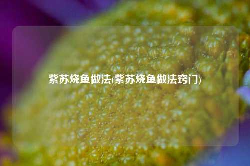 紫苏烧鱼做法(紫苏烧鱼做法窍门)