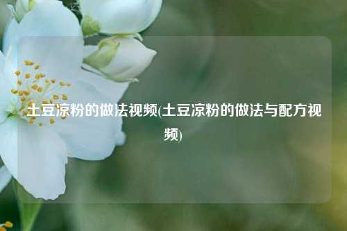 土豆凉粉的做法视频(土豆凉粉的做法与配方视频)