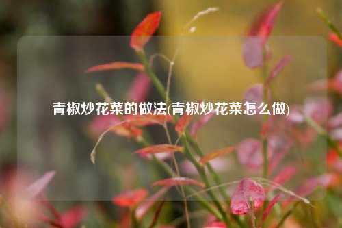 青椒炒花菜的做法(青椒炒花菜怎么做)