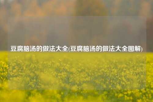 豆腐脑汤的做法大全(豆腐脑汤的做法大全图解)