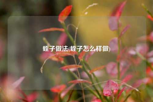 蛭子做法(蛭子怎么样做)