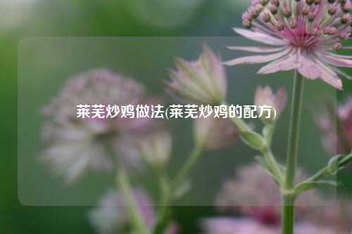 莱芜炒鸡做法(莱芜炒鸡的配方)