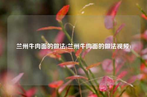 兰州牛肉面的做法(兰州牛肉面的做法视频)