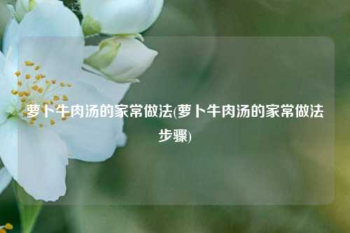 萝卜牛肉汤的家常做法(萝卜牛肉汤的家常做法步骤)