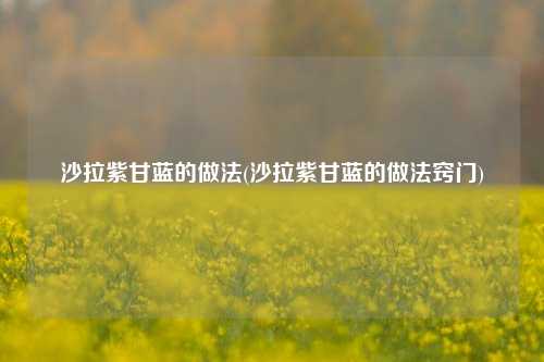 沙拉紫甘蓝的做法(沙拉紫甘蓝的做法窍门)