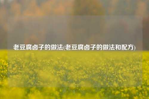 老豆腐卤子的做法(老豆腐卤子的做法和配方)