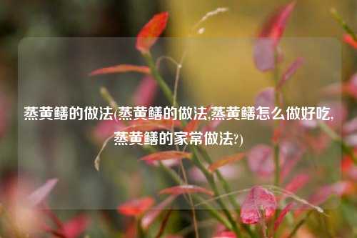 蒸黄鳝的做法(蒸黄鳝的做法,蒸黄鳝怎么做好吃,蒸黄鳝的家常做法?)