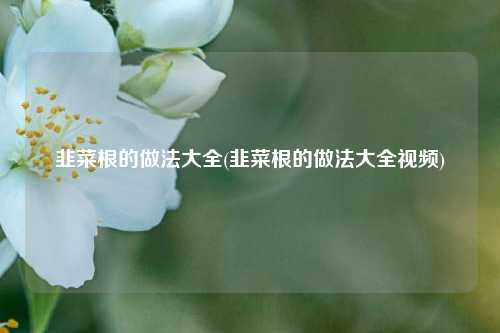 韭菜根的做法大全(韭菜根的做法大全视频)