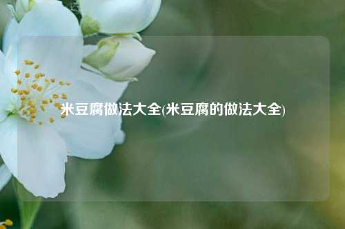 米豆腐做法大全(米豆腐的做法大全)