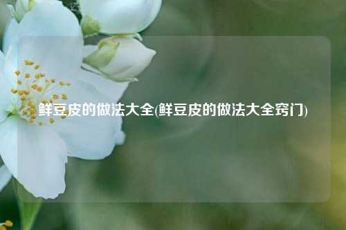 鲜豆皮的做法大全(鲜豆皮的做法大全窍门)