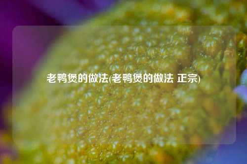 老鸭煲的做法(老鸭煲的做法 正宗)
