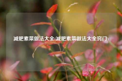 减肥素菜做法大全(减肥素菜做法大全窍门)
