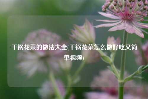 干锅花菜的做法大全(干锅花菜怎么做好吃又简单视频)