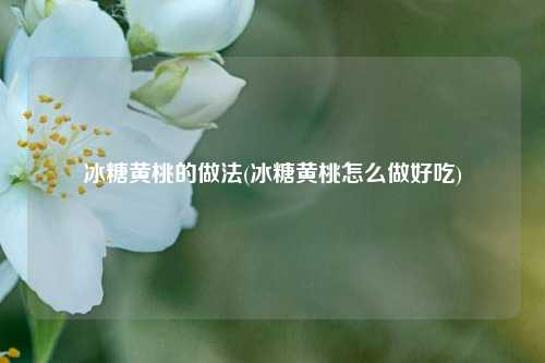 冰糖黄桃的做法(冰糖黄桃怎么做好吃)