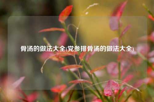 骨汤的做法大全(党参排骨汤的做法大全)