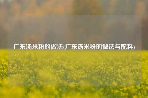 广东汤米粉的做法(广东汤米粉的做法与配料)