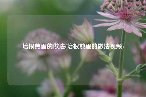 培根煎蛋的做法(培根煎蛋的做法视频)