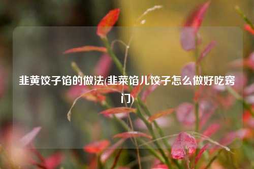 韭黄饺子馅的做法(韭菜馅儿饺子怎么做好吃窍门)