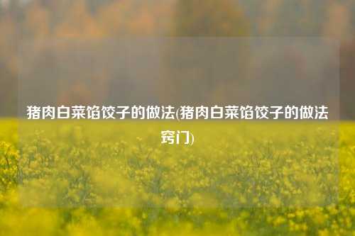 猪肉白菜馅饺子的做法(猪肉白菜馅饺子的做法窍门)